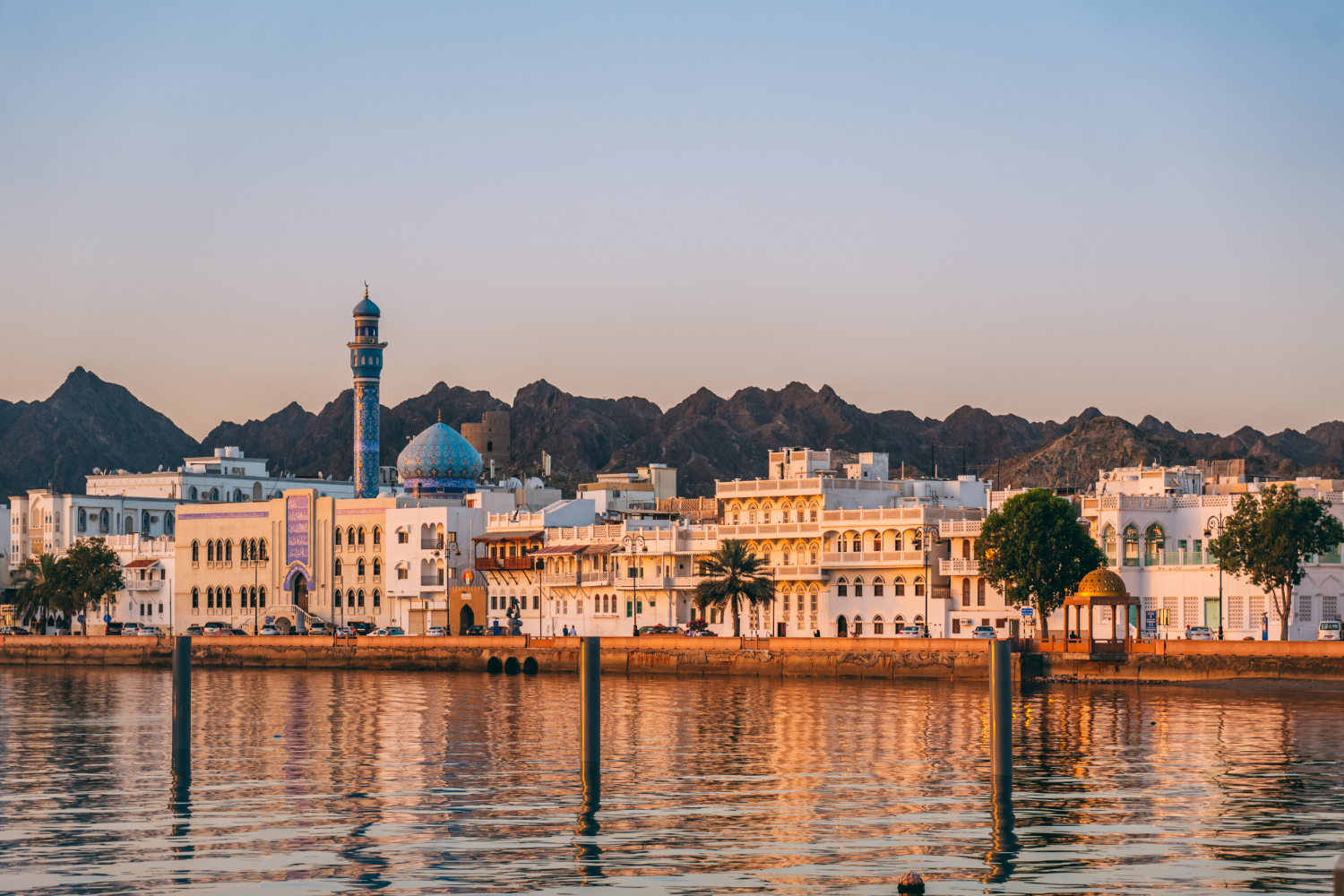 شعار Muscat Trading Group MTG